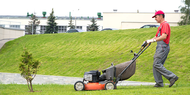 Gartenpflege Service Augsburg